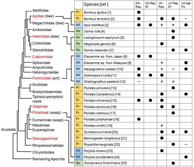 Social Evolution With Decoupling of Multiple Roles of Biogenic Amines Into Different Phenotypes in Hymenoptera